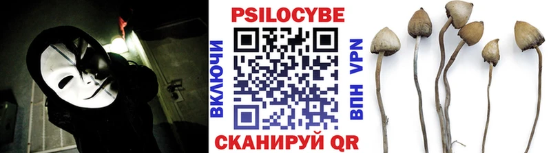 Галлюциногенные грибы MAGIC MUSHROOMS  Устюжна 